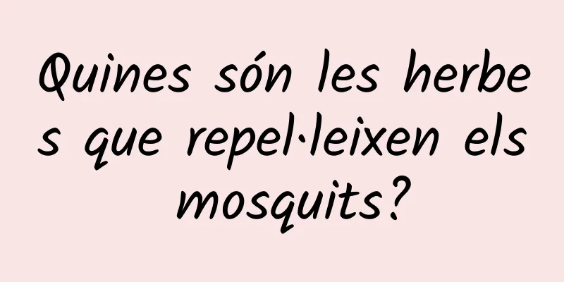 Quines són les herbes que repel·leixen els mosquits?
