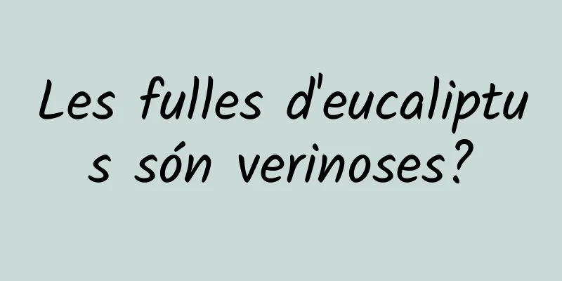 Les fulles d'eucaliptus són verinoses?