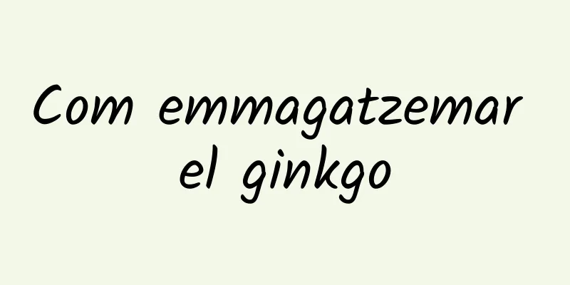 Com emmagatzemar el ginkgo