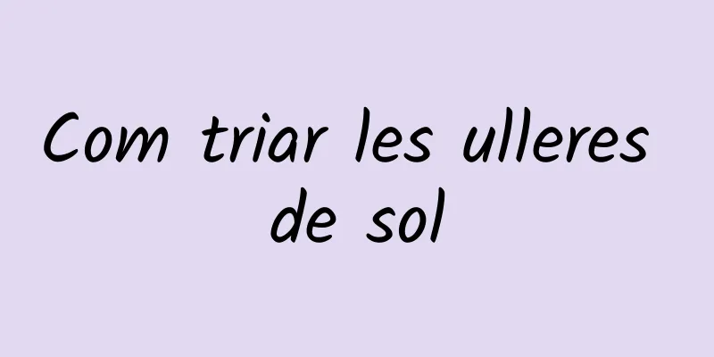 Com triar les ulleres de sol