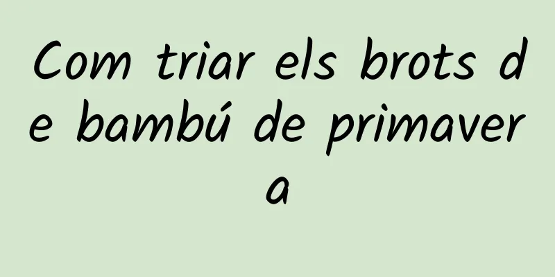 Com triar els brots de bambú de primavera