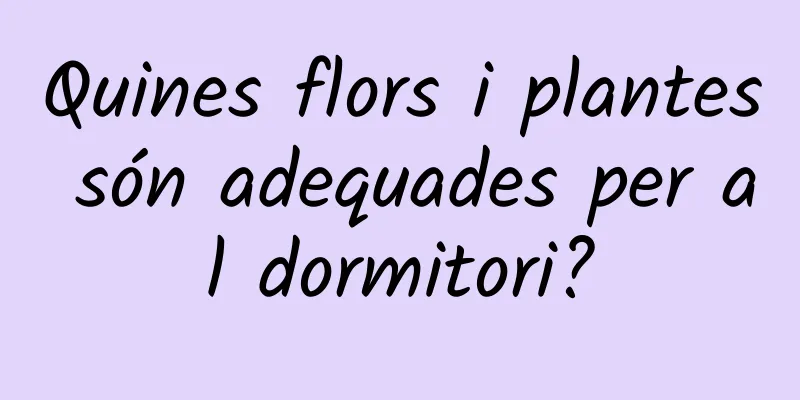Quines flors i plantes són adequades per al dormitori?