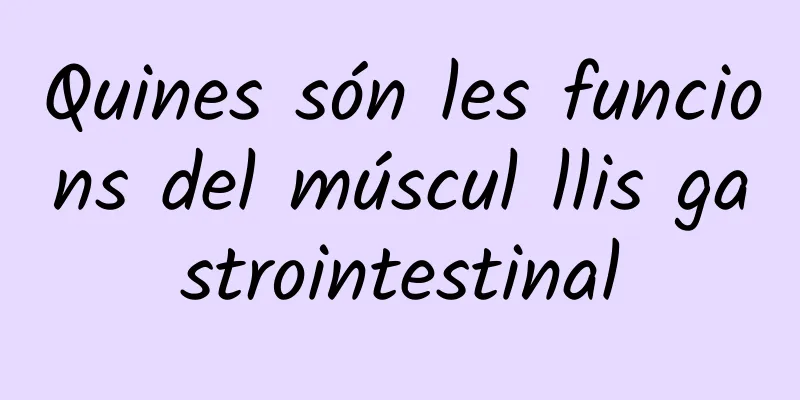 Quines són les funcions del múscul llis gastrointestinal