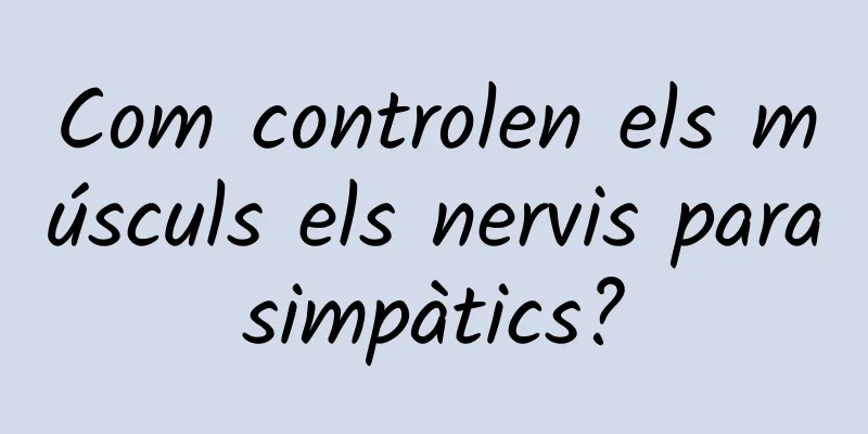 Com controlen els músculs els nervis parasimpàtics?