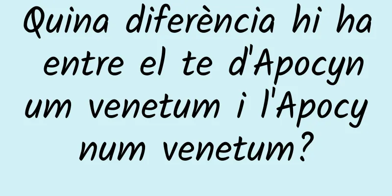 Quina diferència hi ha entre el te d'Apocynum venetum i l'Apocynum venetum?