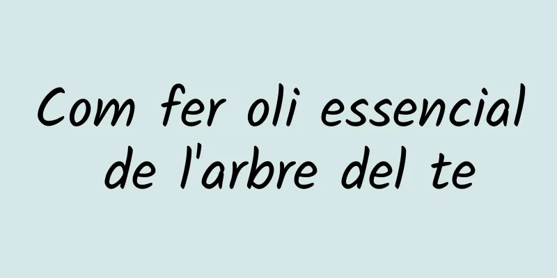Com fer oli essencial de l'arbre del te