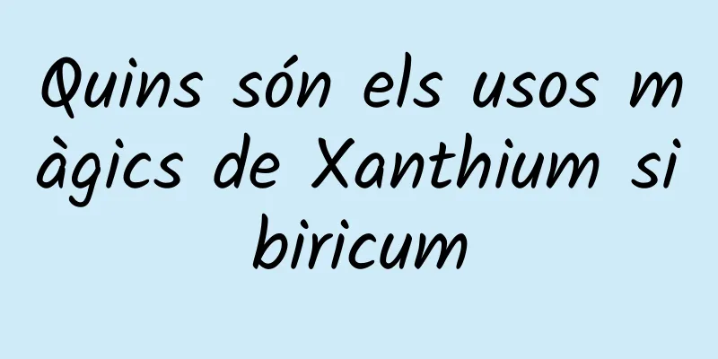 Quins són els usos màgics de Xanthium sibiricum