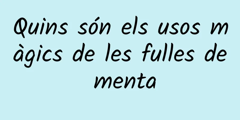 Quins són els usos màgics de les fulles de menta