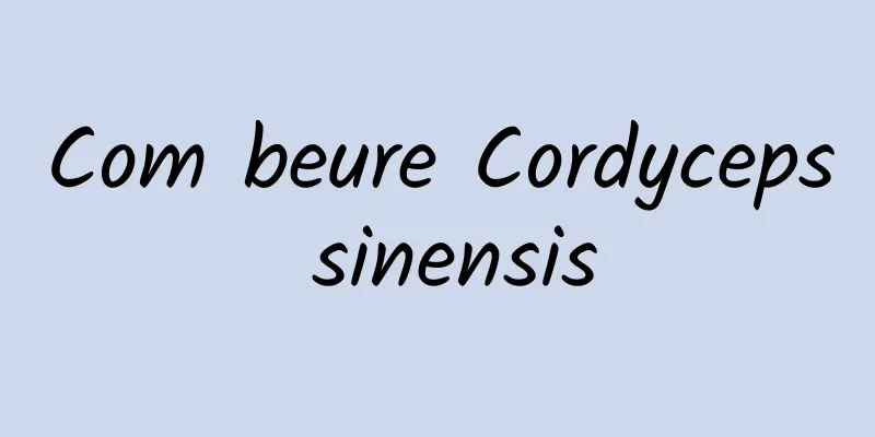 Com beure Cordyceps sinensis