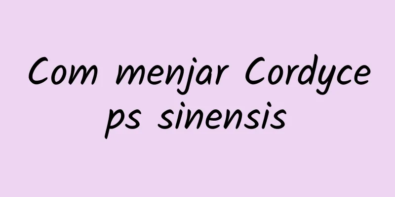 Com menjar Cordyceps sinensis