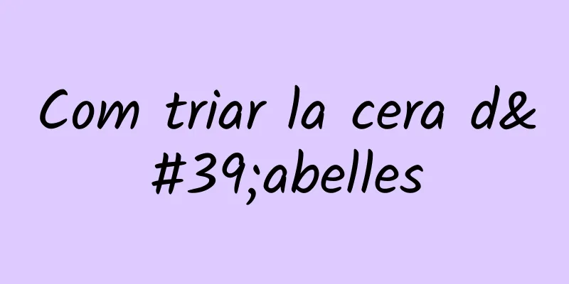 Com triar la cera d'abelles
