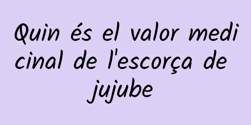Quin és el valor medicinal de l'escorça de jujube