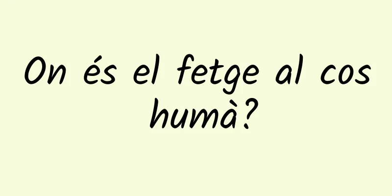On és el fetge al cos humà?