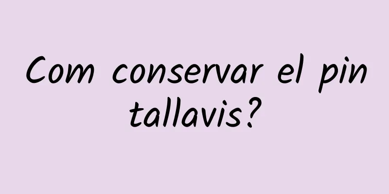 Com conservar el pintallavis?