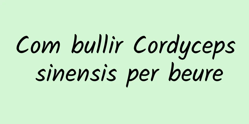 Com bullir Cordyceps sinensis per beure