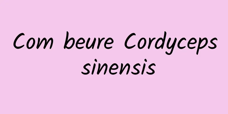 Com beure Cordyceps sinensis