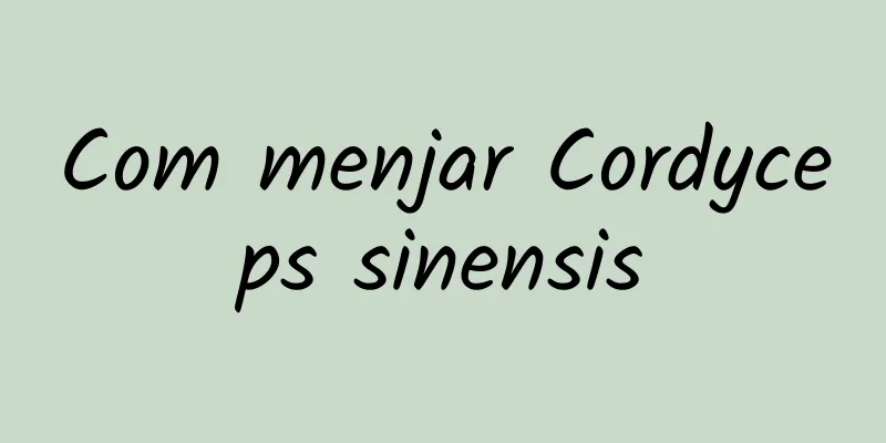 Com menjar Cordyceps sinensis