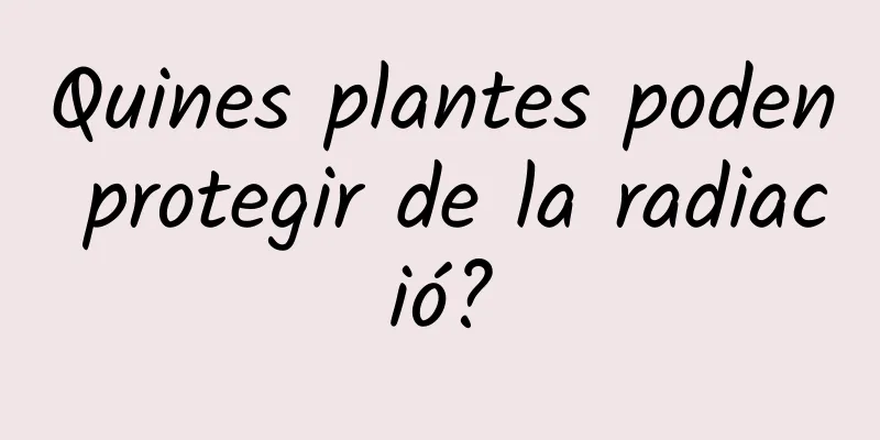 Quines plantes poden protegir de la radiació?
