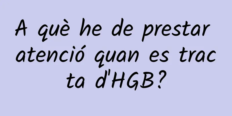 A què he de prestar atenció quan es tracta d'HGB?