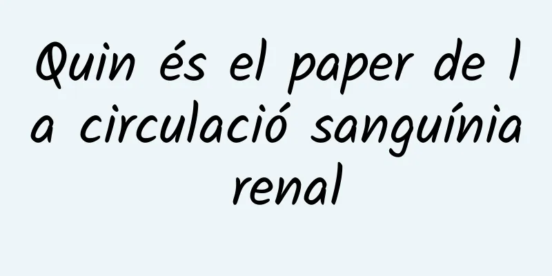 Quin és el paper de la circulació sanguínia renal
