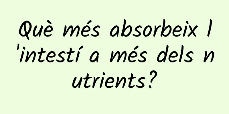 Què més absorbeix l'intestí a més dels nutrients?