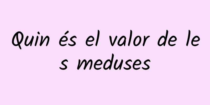 Quin és el valor de les meduses