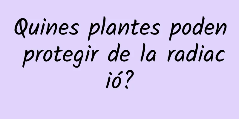 Quines plantes poden protegir de la radiació?