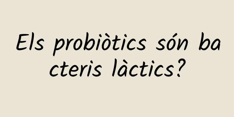 Els probiòtics són bacteris làctics?