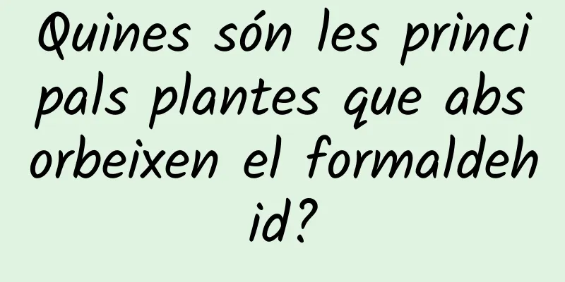 Quines són les principals plantes que absorbeixen el formaldehid?