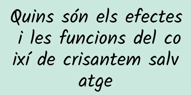 Quins són els efectes i les funcions del coixí de crisantem salvatge