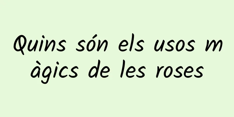 Quins són els usos màgics de les roses