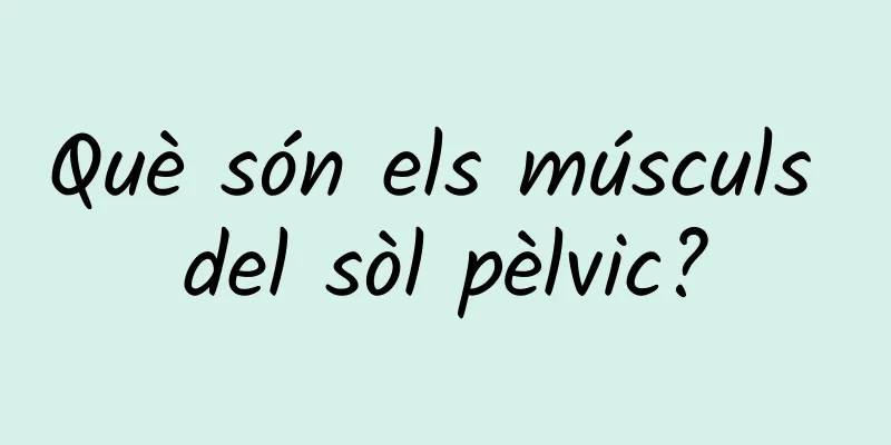 Què són els músculs del sòl pèlvic?