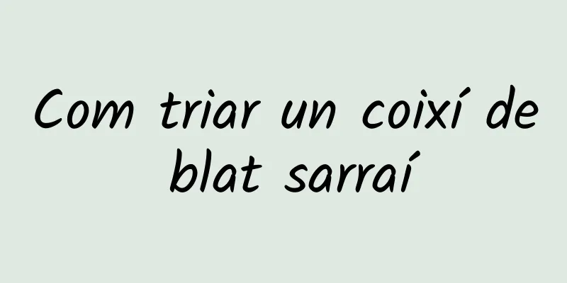 Com triar un coixí de blat sarraí