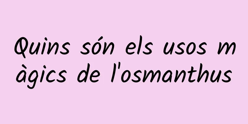Quins són els usos màgics de l'osmanthus