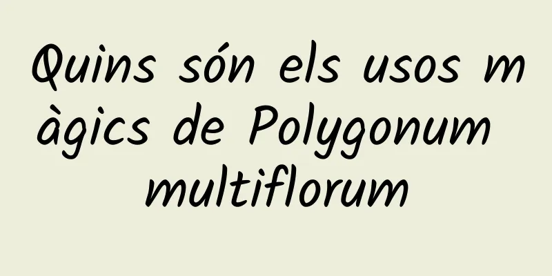 Quins són els usos màgics de Polygonum multiflorum