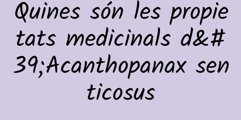 Quines són les propietats medicinals d'Acanthopanax senticosus