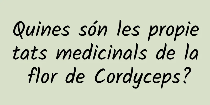 Quines són les propietats medicinals de la flor de Cordyceps?