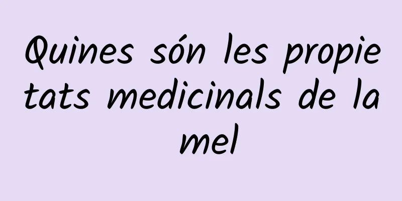 Quines són les propietats medicinals de la mel