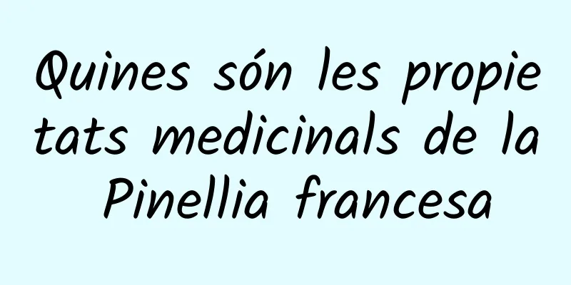 Quines són les propietats medicinals de la Pinellia francesa
