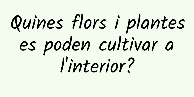 Quines flors i plantes es poden cultivar a l'interior?