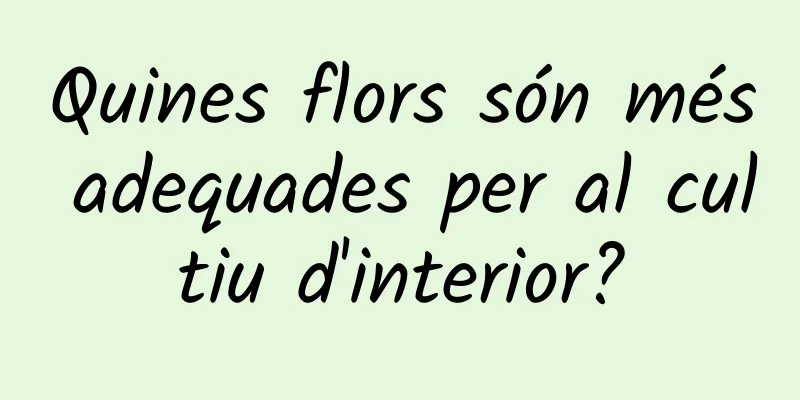 Quines flors són més adequades per al cultiu d'interior?