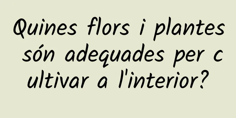 Quines flors i plantes són adequades per cultivar a l'interior?
