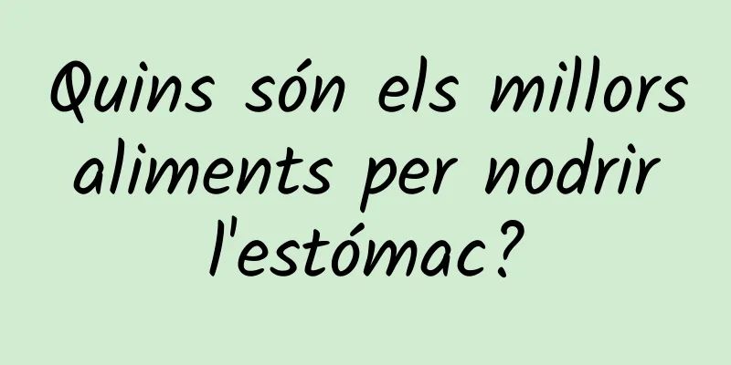 Quins són els millors aliments per nodrir l'estómac?