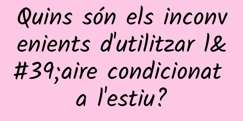 Quins són els inconvenients d'utilitzar l'aire condicionat a l'estiu?
