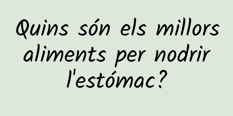 Quins són els millors aliments per nodrir l'estómac?
