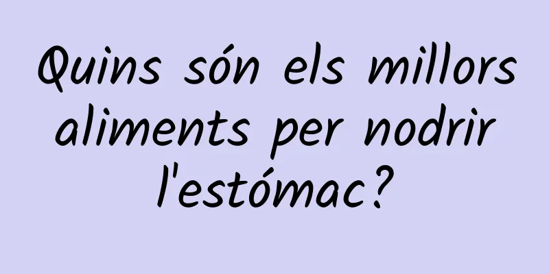Quins són els millors aliments per nodrir l'estómac?