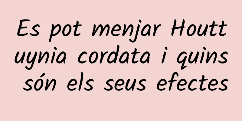Es pot menjar Houttuynia cordata i quins són els seus efectes