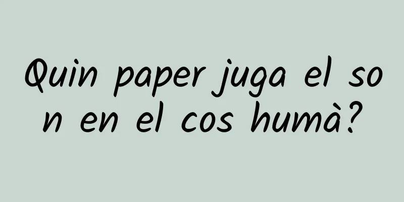 Quin paper juga el son en el cos humà?