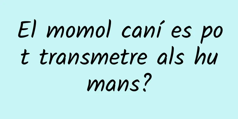 El momol caní es pot transmetre als humans?