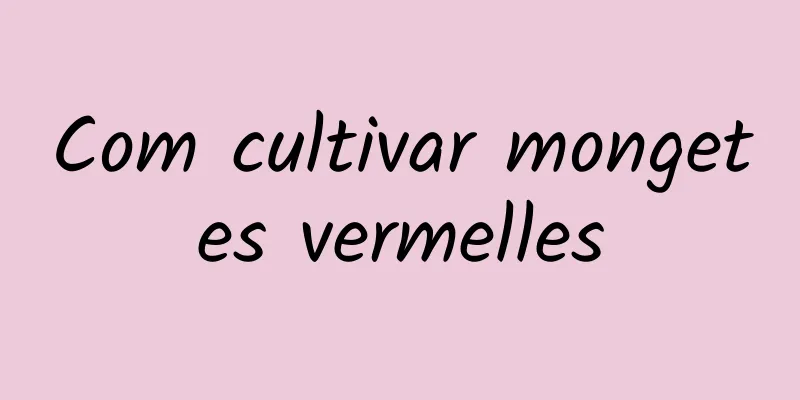 Com cultivar mongetes vermelles